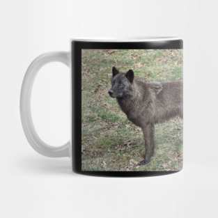 Black Wolf Mug